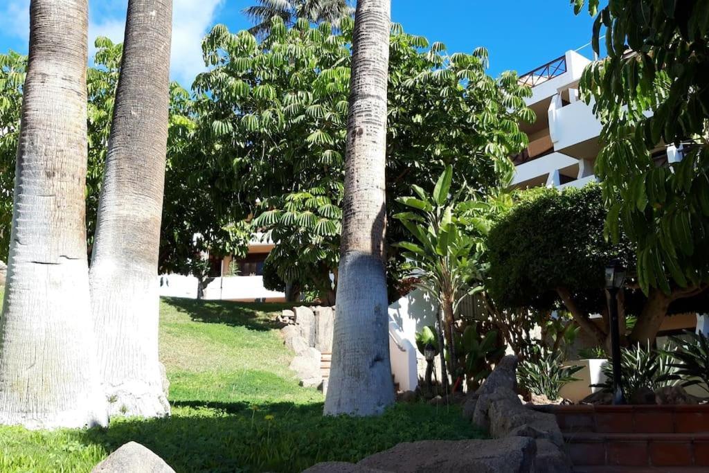 Apartment With Pool And Gardens Near The Coast Сан-Мігель-де-Абона Екстер'єр фото